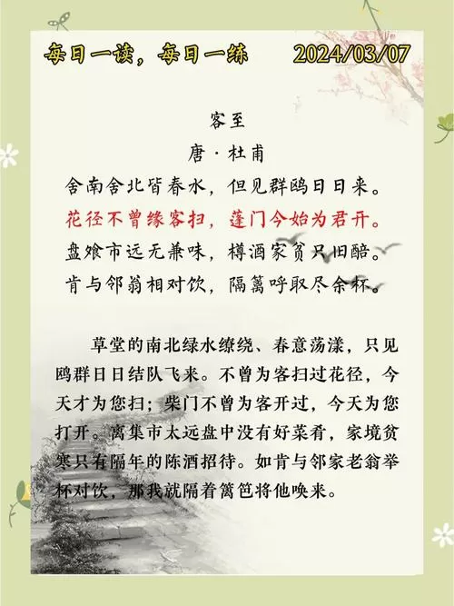 客至小说免费版