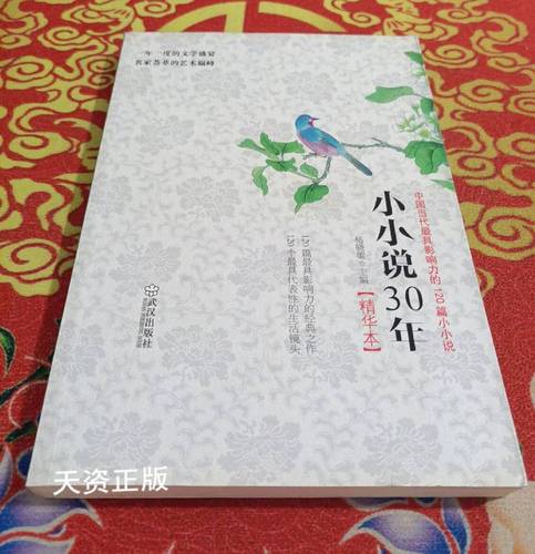 小小说30年精华本:中国当代最具影响力的120篇小小说图标