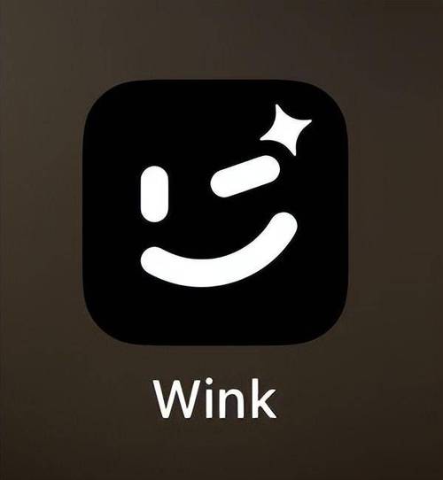 Wink2025最新pc版