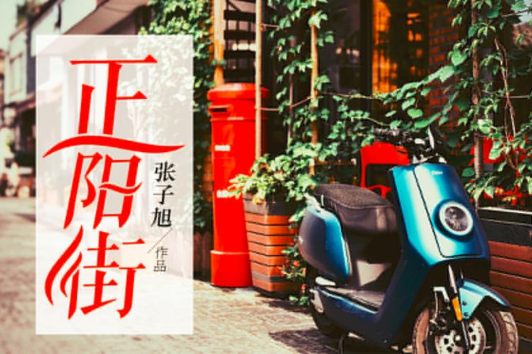 《正阳街》小说在线阅读图标
