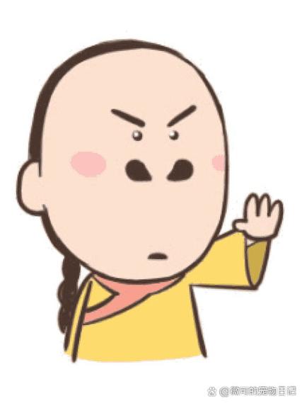 恶搞尔康表情图片带字魔性的尔康qq表情