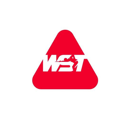 ws2图标