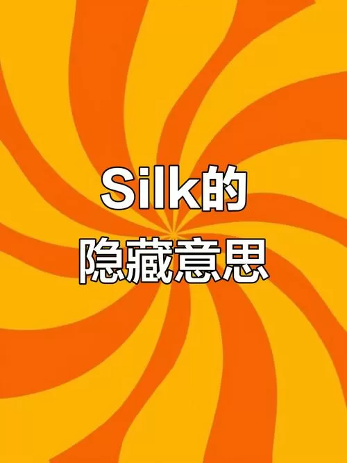 silk的意思