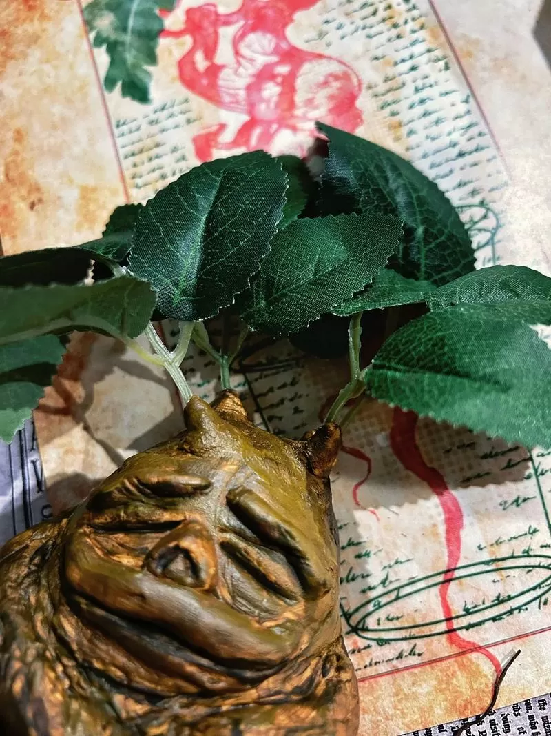 曼德拉草