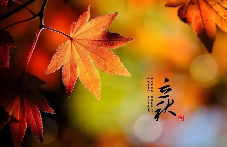 立秋图片
