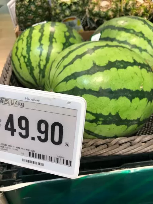 西瓜转色期是什么时候图标