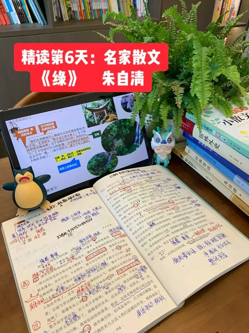 绿阅读