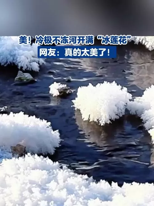 在冻成冰的河上捕