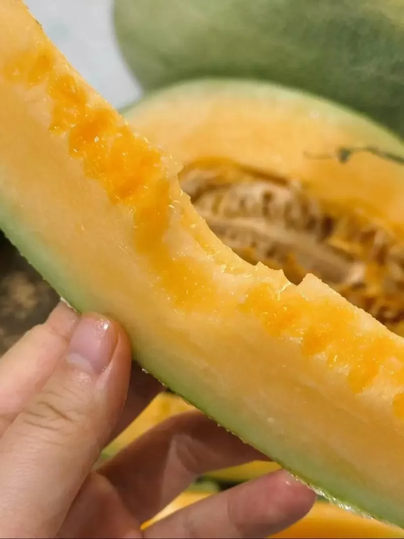 哈密瓜视频一触即发旧版本