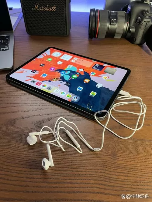 ipad air可以插有线耳机吗图标