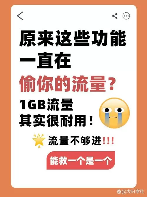 怎么防止流量消耗过快