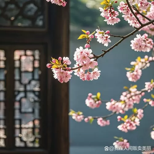 古典图片
