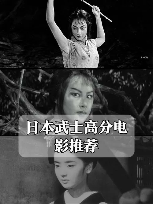 武田家的明国武士