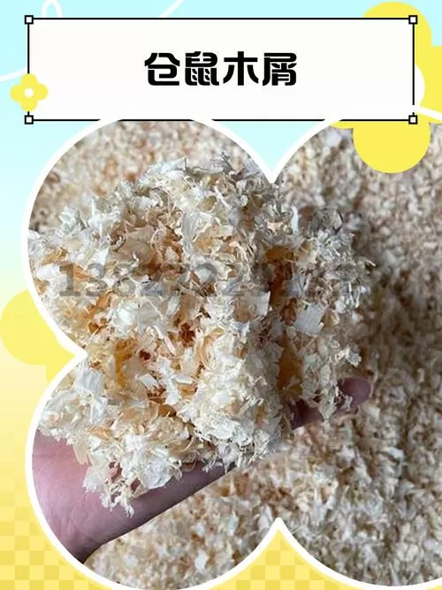 仓鼠冬天用木屑会冷吗图标