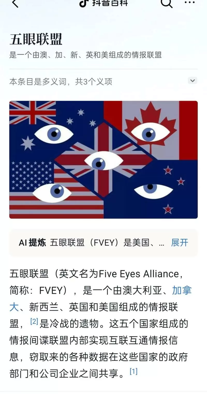 五域联盟是国家平台吗图标