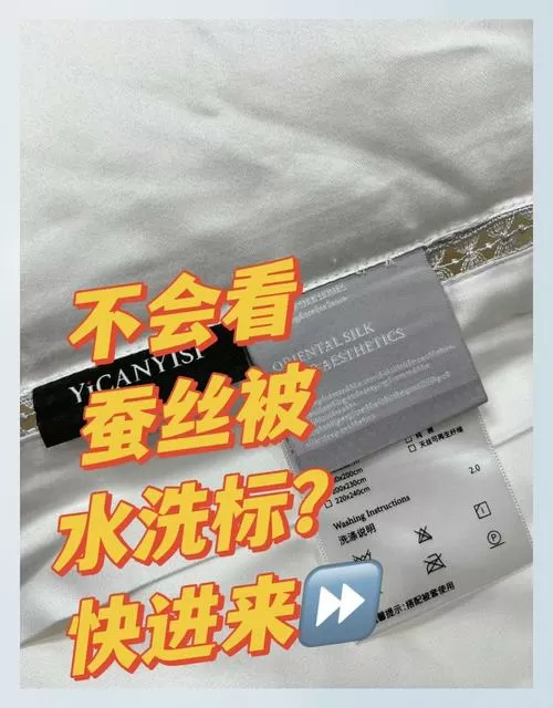 silk是桑蚕丝的意思吗