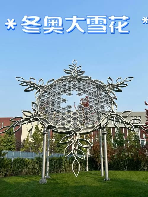北京此次降雪为何雪花这么大