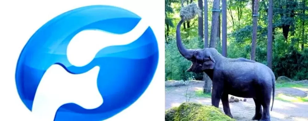 河南大象TV电视版免费图标
