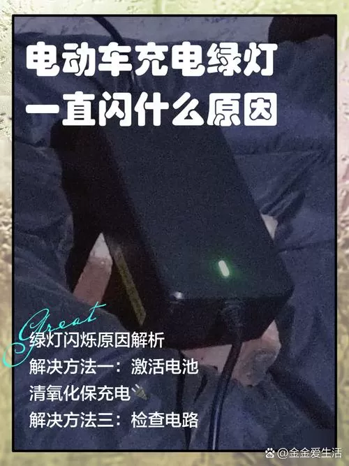 电动车充电一闪一闪的是什么原因图标