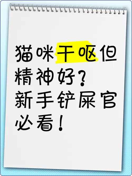 猫咪干呕但是精神很好图标