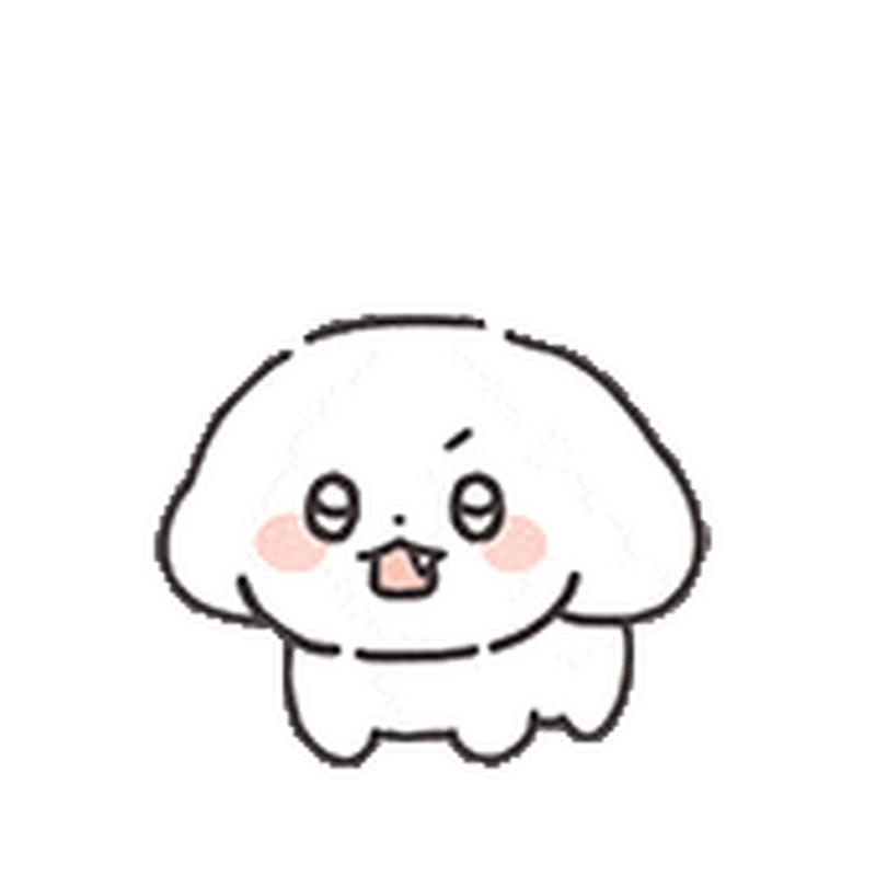 seolgi小白狗表情包