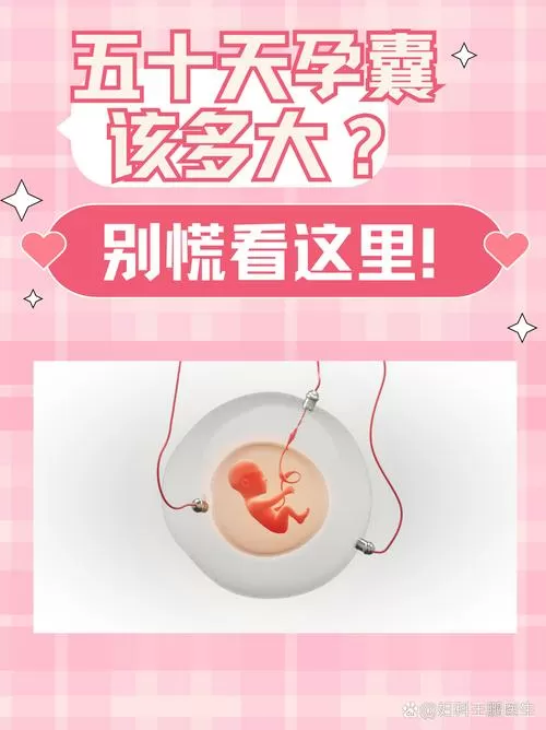 50天一条杠但怀孕了