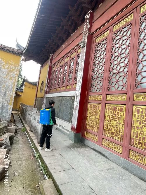 新房要做白蚁防治吗?图标