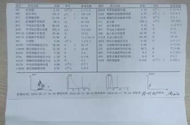 血液报告单图片图标