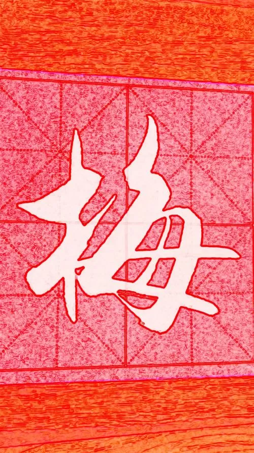 梅花字帖书写图标