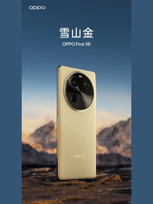 findx6什么时候出的图标