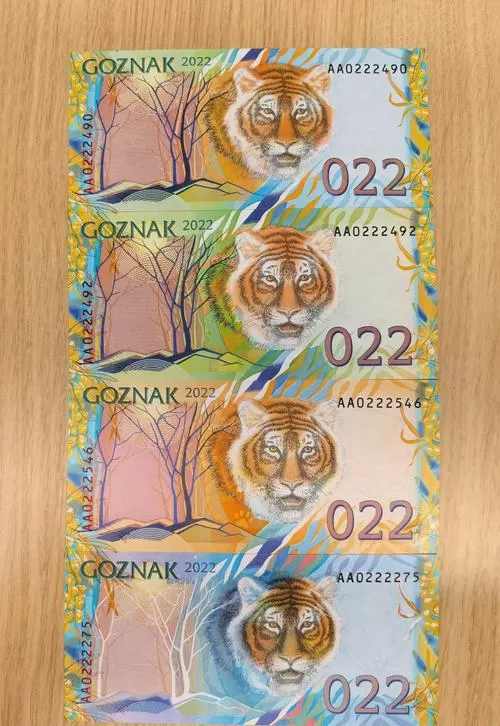 背面有老虎的钱是哪的图标