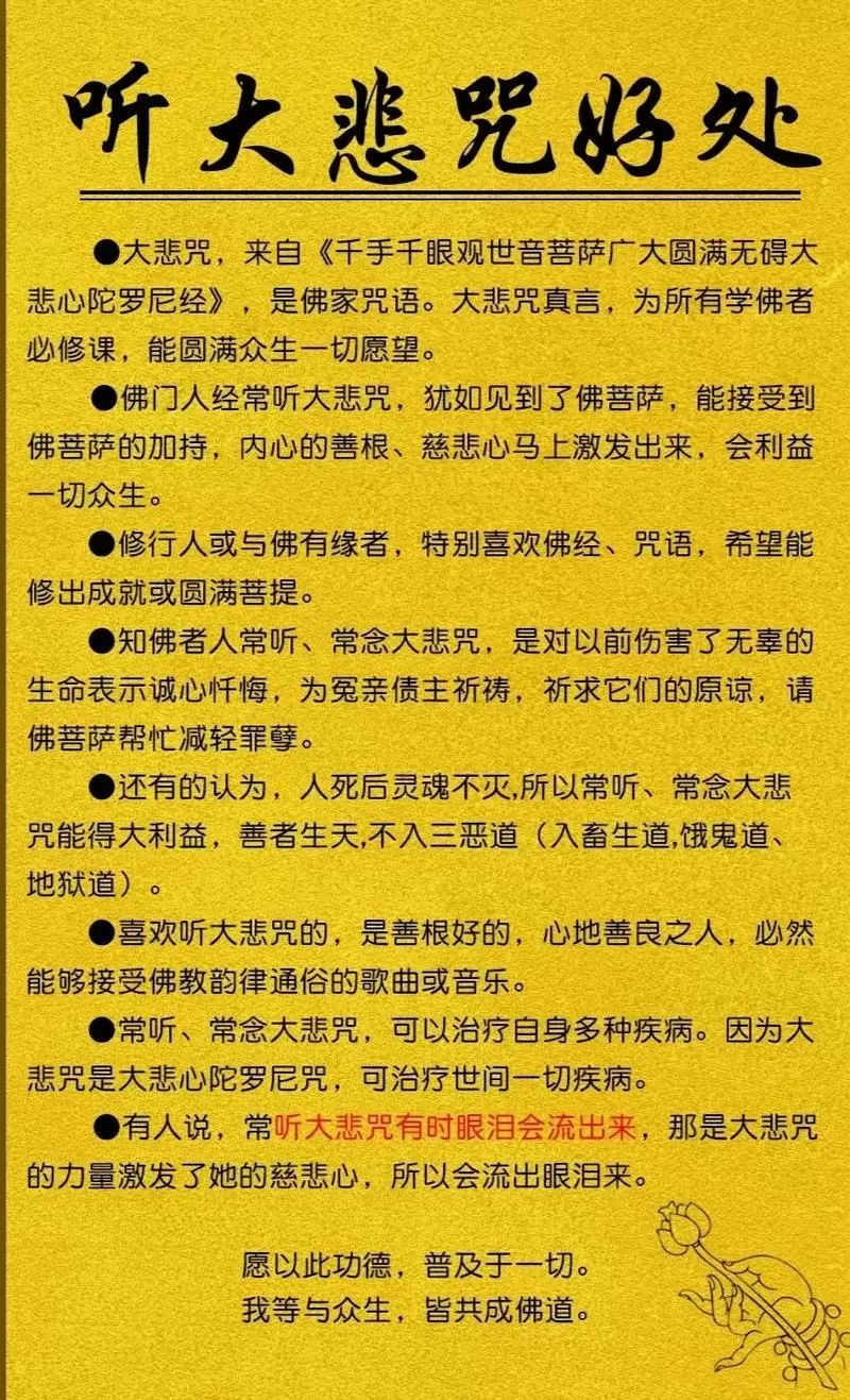 多听大悲咒有什么好处吗图标