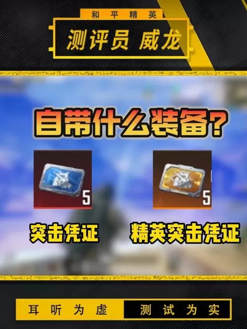 武子弈玩精英突击凭证