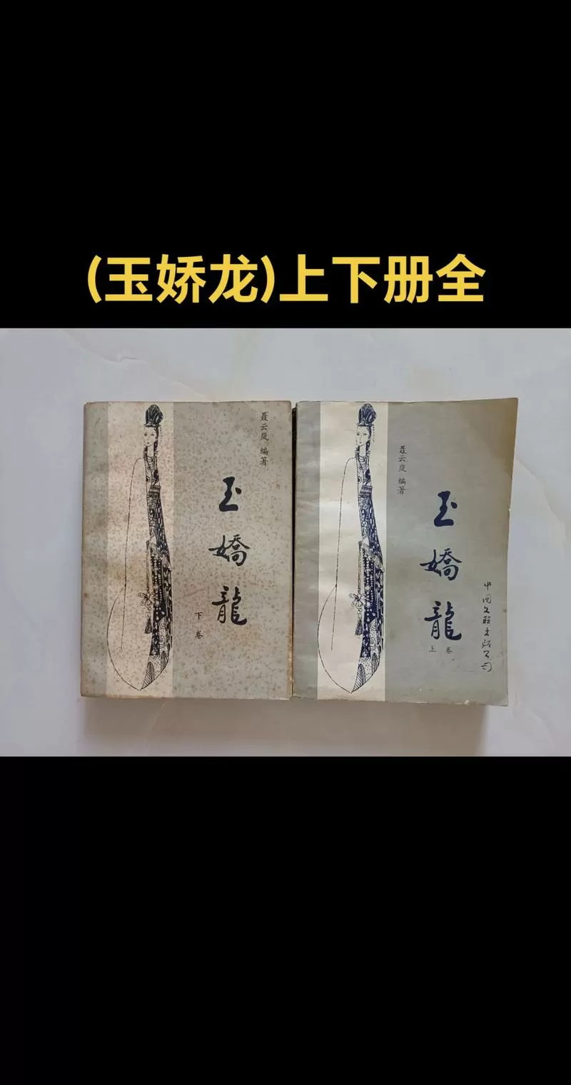 武侠小说玉娇龙图标