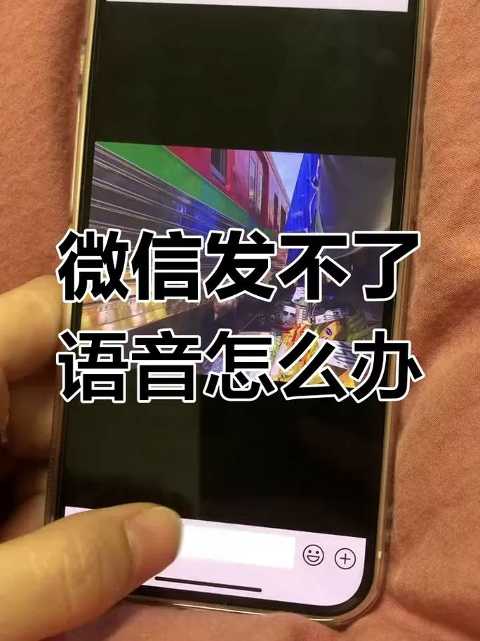 手机说不了语音是怎么回事图标