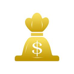 黄金口袋图标