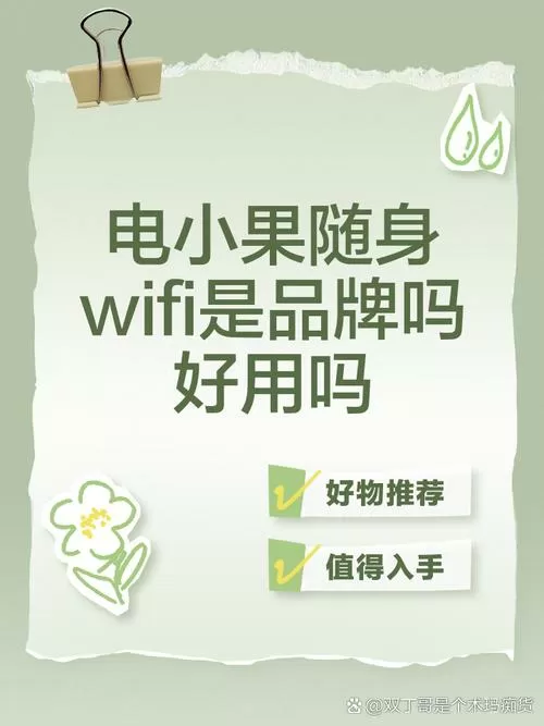 电小果是杂牌子还是名牌图标