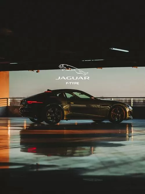 ftype5.0图标