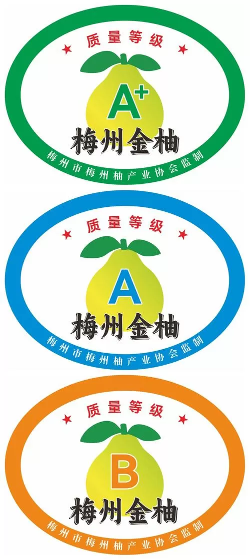 金柚柚永久激活码图标