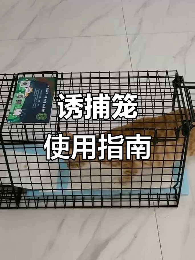 诱捕笼抓猫使用方法图标