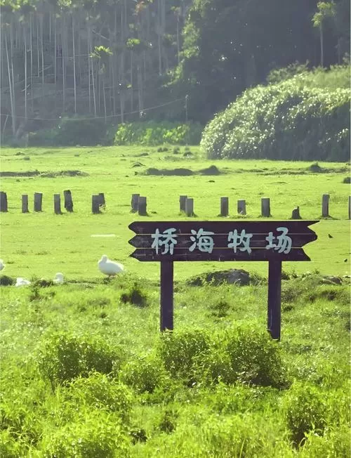 万宁桥海牧场在哪里