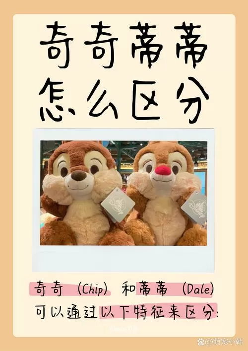 奇奇蒂蒂怎么区分图标